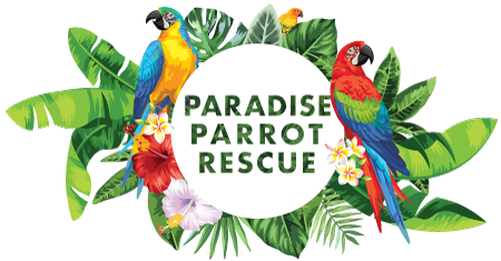 https://paradiseparrotrescue.org/wp-content/uploads/2021/04/cropped-ParadiseParrotRescue_logo_rgb.png